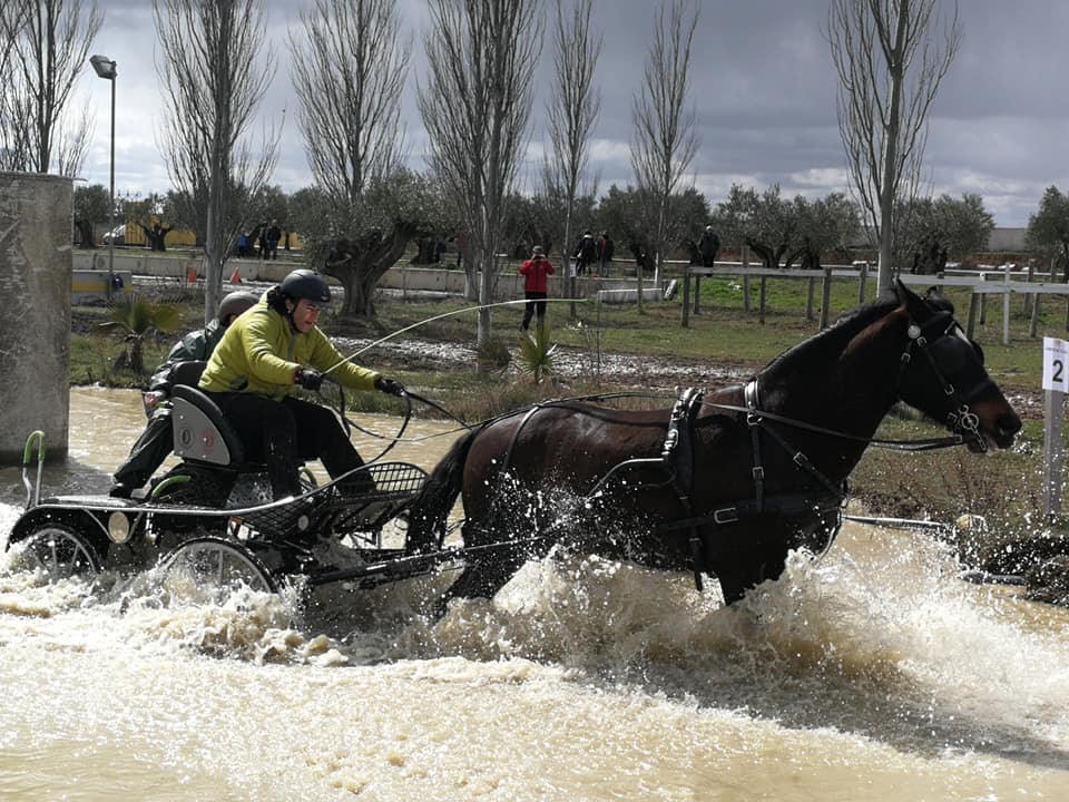 Resultados 1ª Fase del Campeonato Navarro de Enganches 2018 en el Club Deportivo Enganches Finca "La Pinturita"